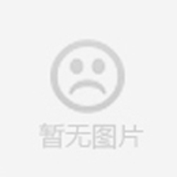 三葉羅茨風(fēng)機（皮帶傳動）