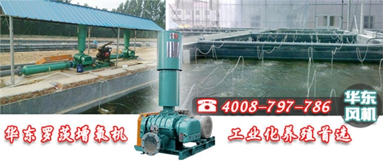 華東羅茨增氧機(jī) 華東羅茨增氧機(jī)