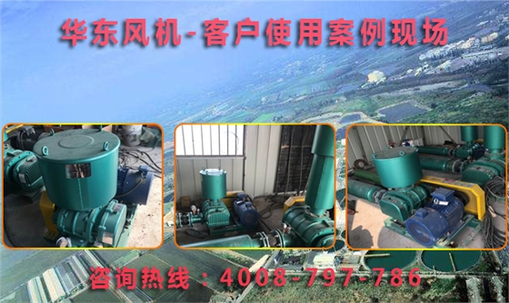 三葉羅茨風(fēng)機