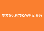 羅茨鼓風(fēng)機(jī)75kw參數(shù).jpg