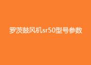 羅茨鼓風(fēng)機(jī)sr50型號參數(shù).jpg