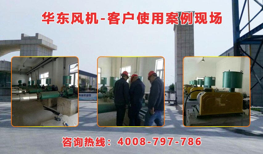 華東內(nèi)蒙古羅茨風(fēng)機(jī)案例-內(nèi)蒙古**生物環(huán)?？萍加邢挢?zé)任公司